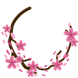 Sakura
