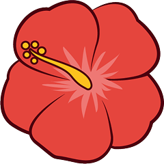 Red Hibiscus